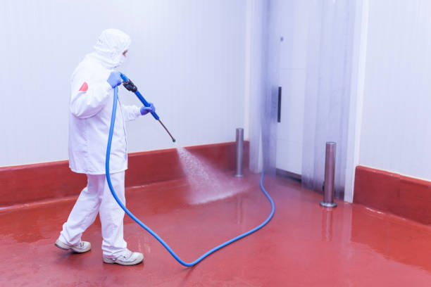 Best House Exterior Washing  in Port Allegany, PA
